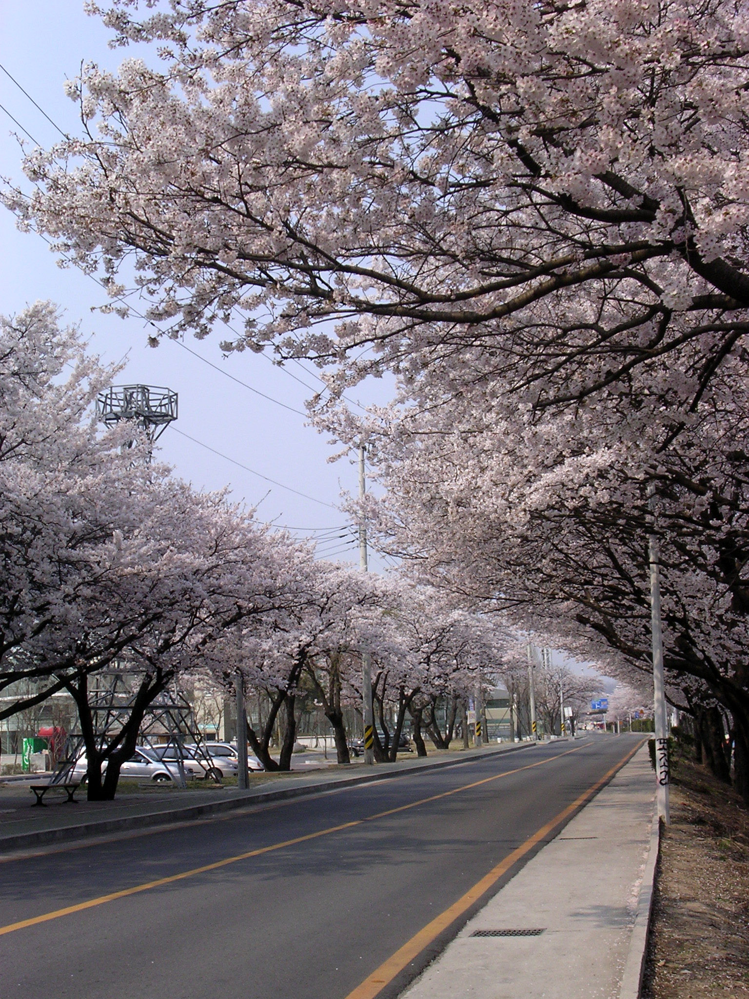 늦게 오시면... 첨부사진